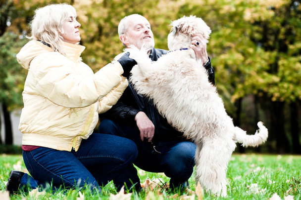Family embrace irish soft coated wheaten - Zdjęcie, obraz