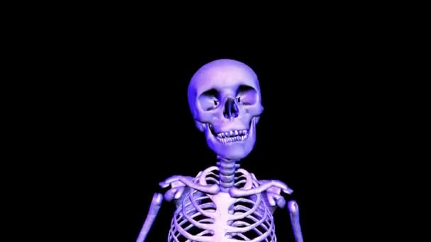 Szkielet systemem górnej części ciała. Pętla cgi hd - Materiał filmowy, wideo