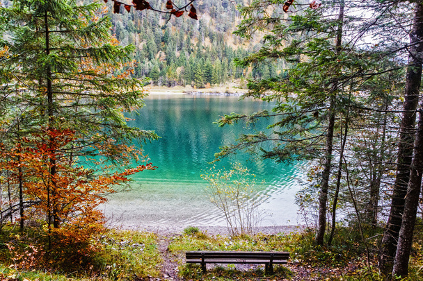 Mountain lake in a colorful autumn forest - Photo, Image