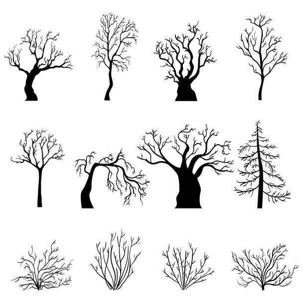 Silhouetten von kahlen Bäumen und Büschen - Vektor, Bild
