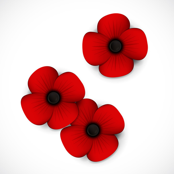 red poppy background - Vector, Image