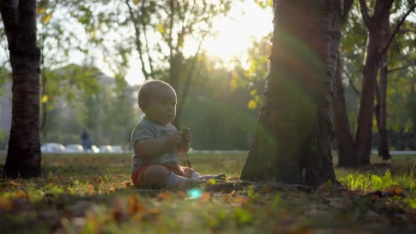 Baby sitting on the lawn near the tree and playing with grass. Sunset light. Autumn park. - 映像、動画