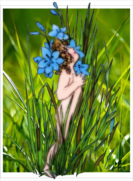 Μπλε eyed χόρτο παιδιά των λουλουδιών - Φωτογραφία, εικόνα