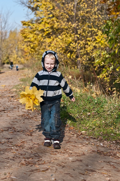 young boy with yellow leaves - Фото, изображение