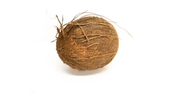kokosnoot op wit - Video