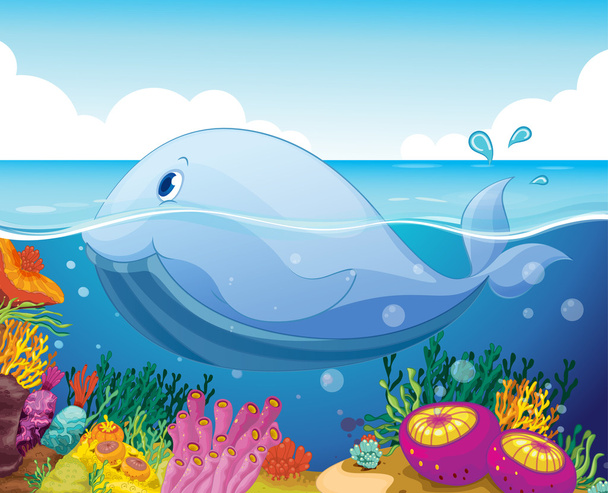 fish and coral in the sea - Vector, Image