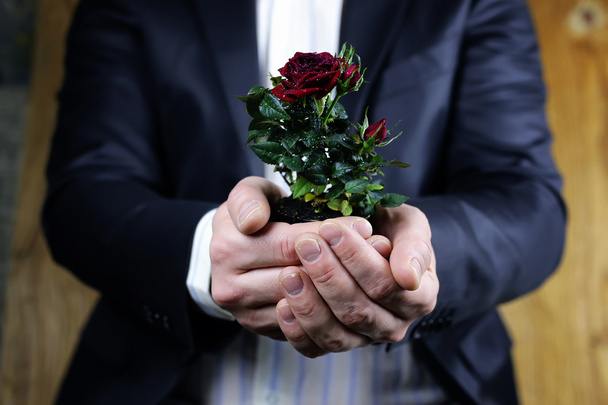 Rose in hand man suit - Foto, Bild