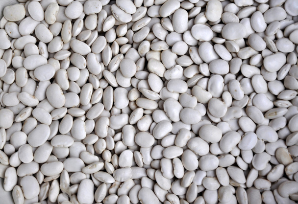 A large white beans - Photo, Image