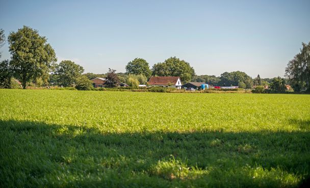 Ολλανδικό αγροτικό τοπίο με το αγρόκτημα - Φωτογραφία, εικόνα