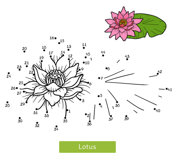 Παιχνίδι αριθμών για τα παιδιά, λουλούδι λωτού - Διάνυσμα, εικόνα