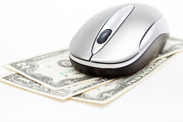 Computer mouse on dollars - Фото, зображення
