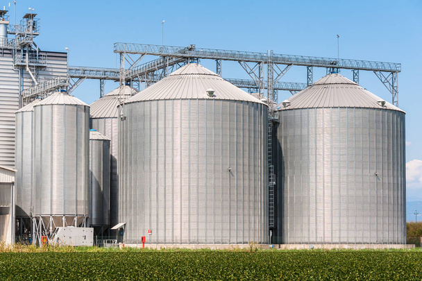 opslag silo's voor producten van de landbouw (granen) - Foto, afbeelding