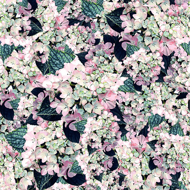 abstract floral background - Fotografie, Obrázek
