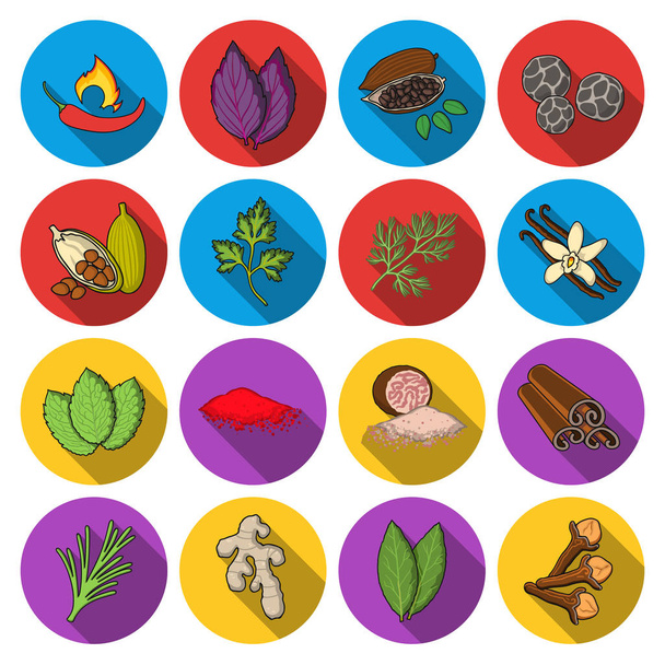 Herb and spices set icons in flat style. Big collection of herb and spices vector symbol stock illustration - Vector, Image