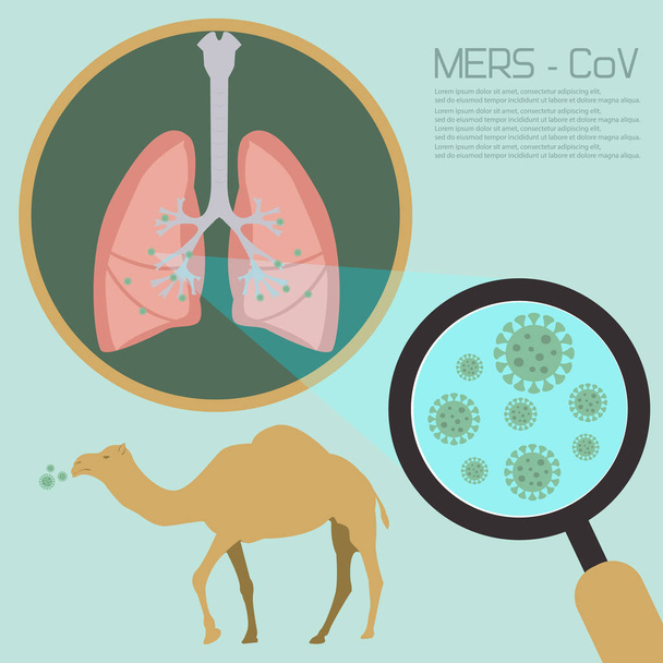 middle east respiratory syndrome - Vector, Image