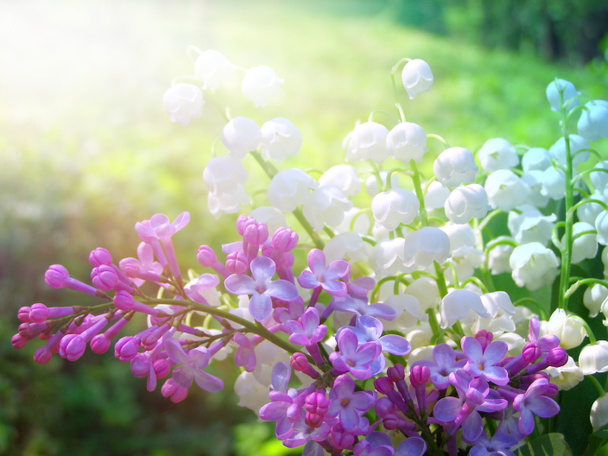 Lilly de la Vallée et bouquet de fleurs lilas printanières
 - Photo, image