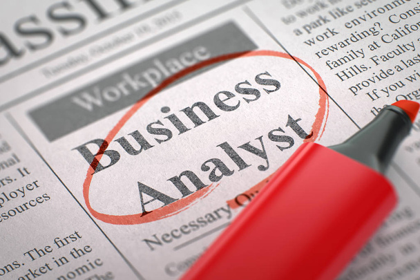 Voltak bérbeadása Business Analyst. 3D. - Fotó, kép