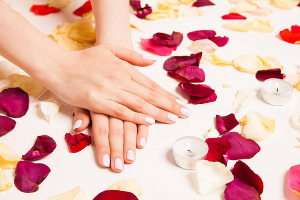 Female gentle hands crossed surrounded with petals - Photo, Image