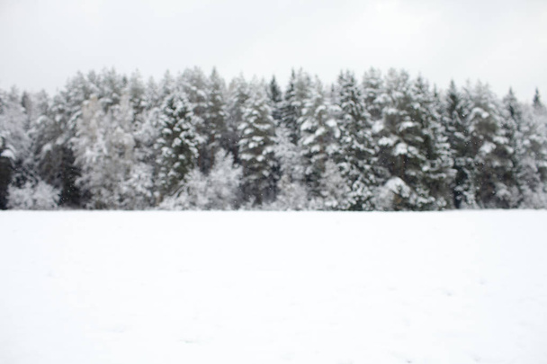 Snow-covered wintertime plain with out-of-focus pine forest background with copy-space - Fotó, kép