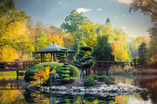japonská zahrada na podzim - Fotografie, Obrázek