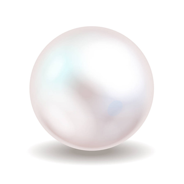 White pearl. Sea pearl isolated on white background. Shiny oyster pearl ball for luxury accessories. Vector illustration. - Vektör, Görsel