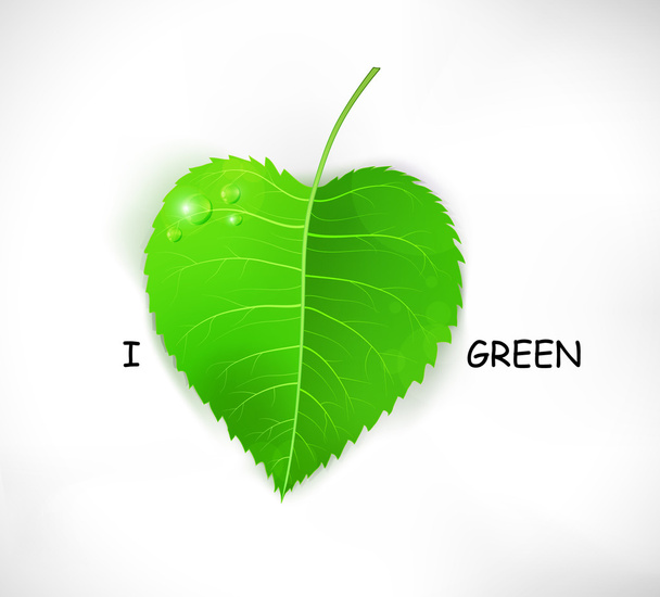 Green leaf - Vector, afbeelding
