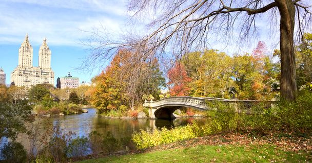 NYC Central Park panorama - Zdjęcie, obraz