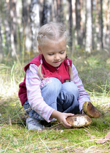 Little girl gathers mushrooms in the forest - Valokuva, kuva