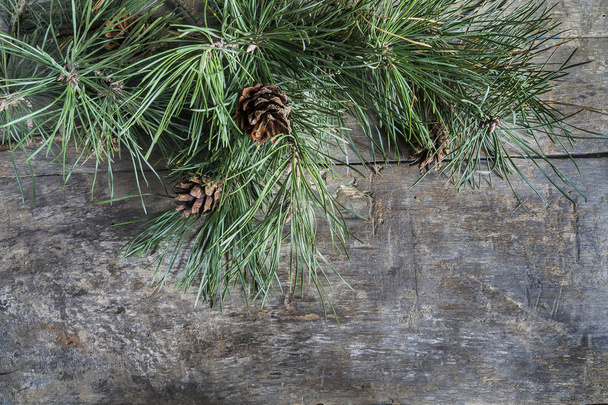 Pine branches with cones on a wooden background - Photo, Image
