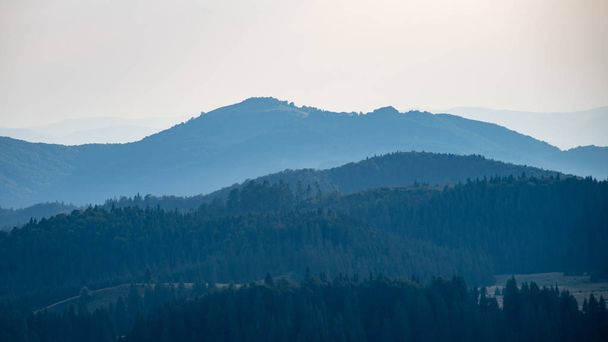 View to the carpathian mountains from forest - Фото, изображение
