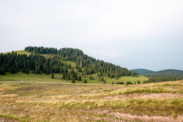 Vista para as montanhas dos Cárpatos a partir da floresta
 - Foto, Imagem