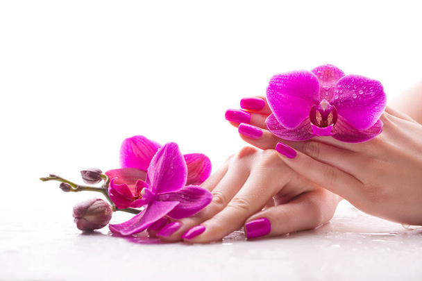 natural product for the spa system - Foto, Imagen