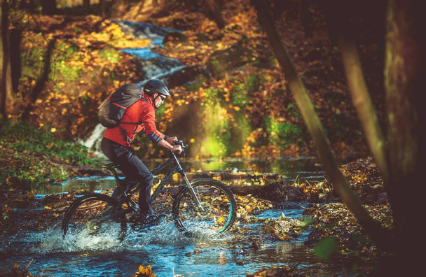 Jazdy na rowerze w lesie - Zdjęcie, obraz