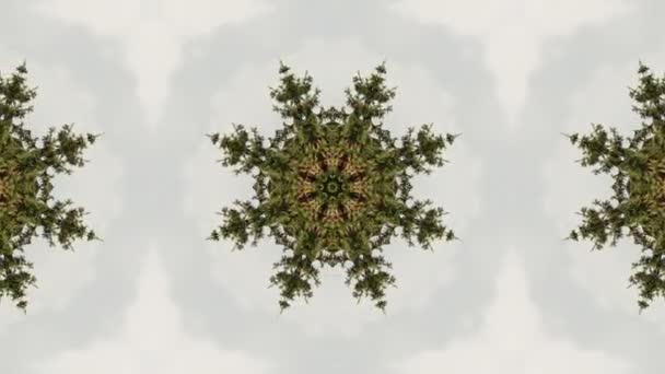 Mosaik fraktale geometrische Kaleidoskopie  - Filmmaterial, Video