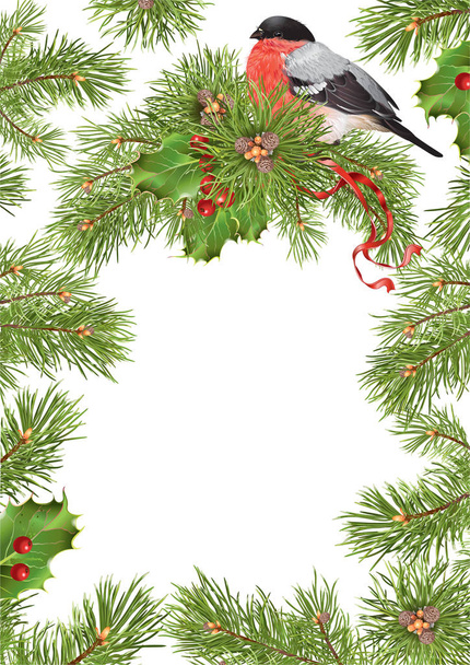 Noel şakrak kuşu çerçeve - Vektör, Görsel