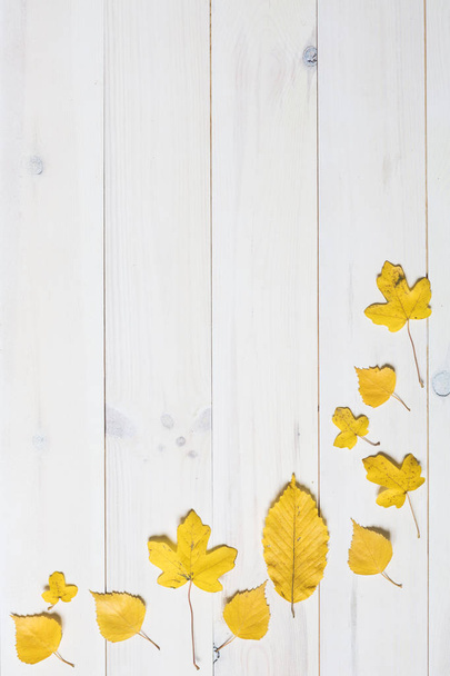 folhas amarelas em um fundo de madeira branco. gráfico leigos planos
  - Foto, Imagem