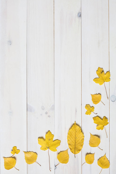 folhas amarelas em um fundo de madeira branco. gráfico flat lay symb
 - Foto, Imagem