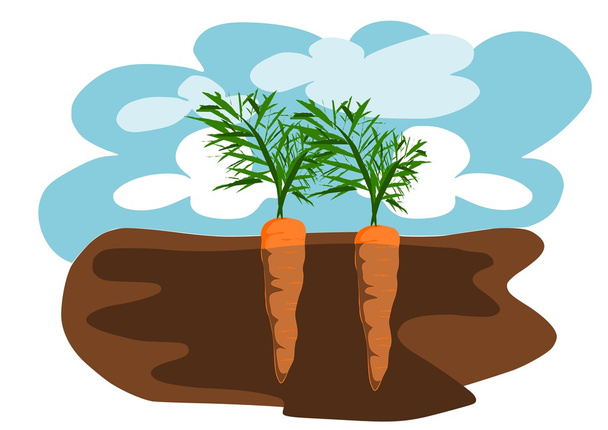 Two carrots in the ground - Vector, Image