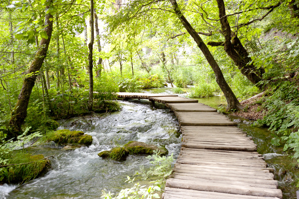 Plitvice lakes - wooden pathway. - Photo, Image