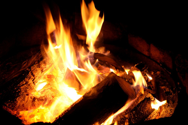Cozy Campfire - Photo, Image