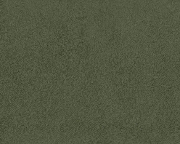 green artificial leather texture. - Photo, Image