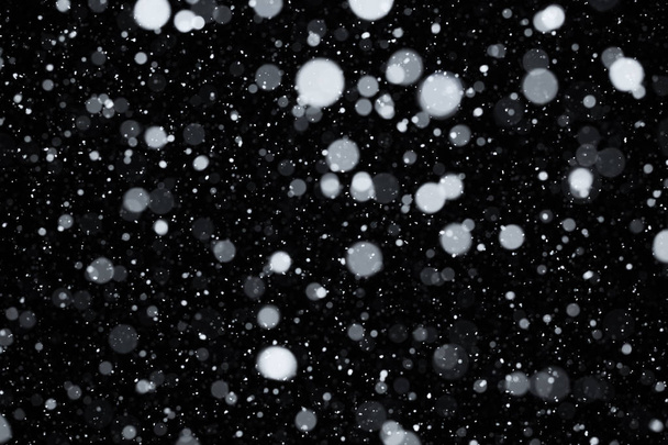 Falling snow on black - Foto, immagini