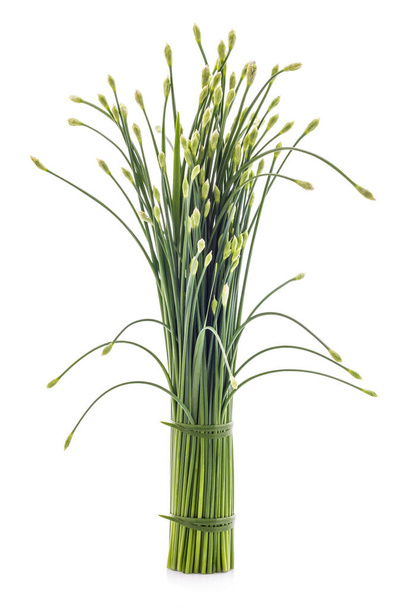 Erba cipollina fiore o erba cipollina cinese isolato su sfondo bianco. Edi
 - Foto, immagini