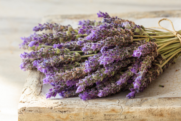 bos lavendelbloemen - Foto, afbeelding