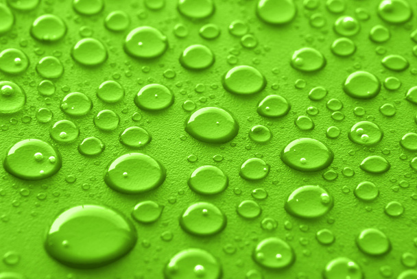 緑色の水の滴 - 写真・画像