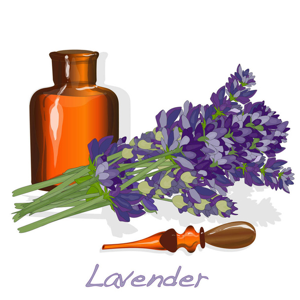 Lavander flower vector. - Vector, Image