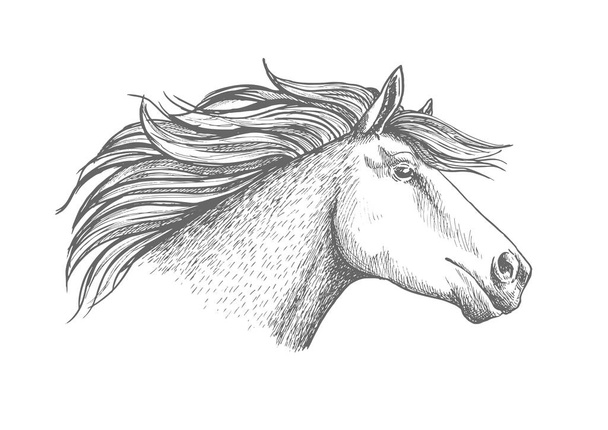 Σκίτσο κεφαλής άλογο αθλητισμού έμβλημα - Διάνυσμα, εικόνα