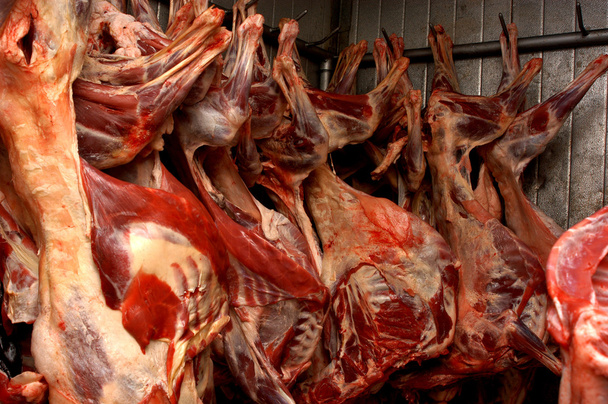 Carne de carneiro pendurada em armazém frio
 - Foto, Imagem