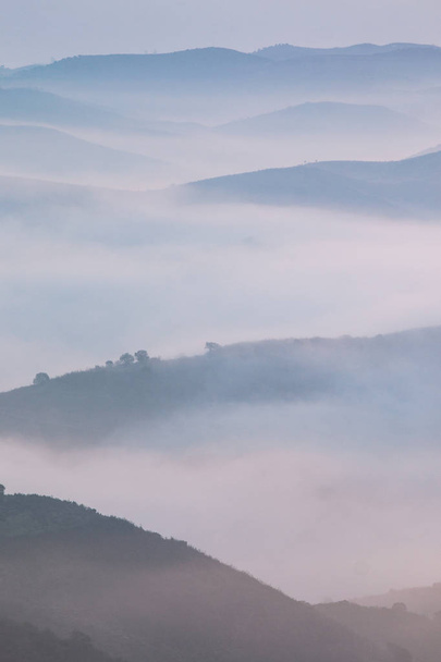 Misty hills in the morning - Valokuva, kuva