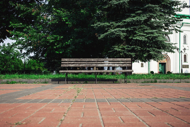 Old wooden bench in the summer park - Fotoğraf, Görsel